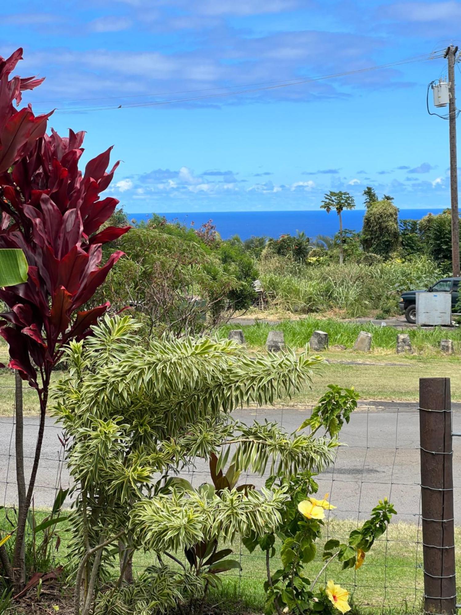 Private Ohana On The Lush Hamakua Coast With Ac Honokaa Exteriér fotografie