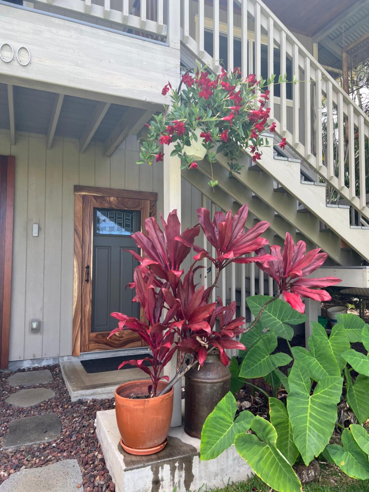 Private Ohana On The Lush Hamakua Coast With Ac Honokaa Exteriér fotografie