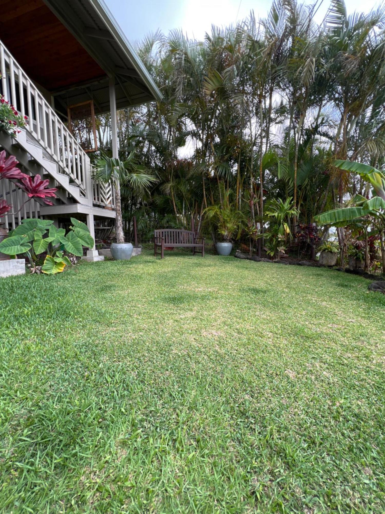 Private Ohana On The Lush Hamakua Coast With Ac Honokaa Exteriér fotografie