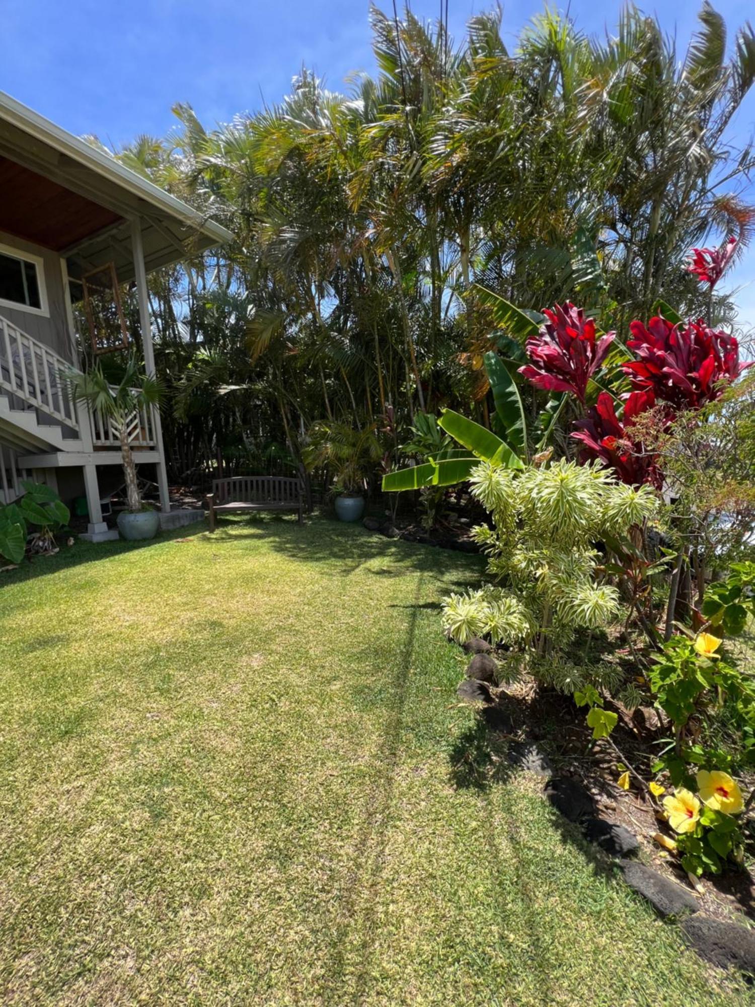 Private Ohana On The Lush Hamakua Coast With Ac Honokaa Exteriér fotografie